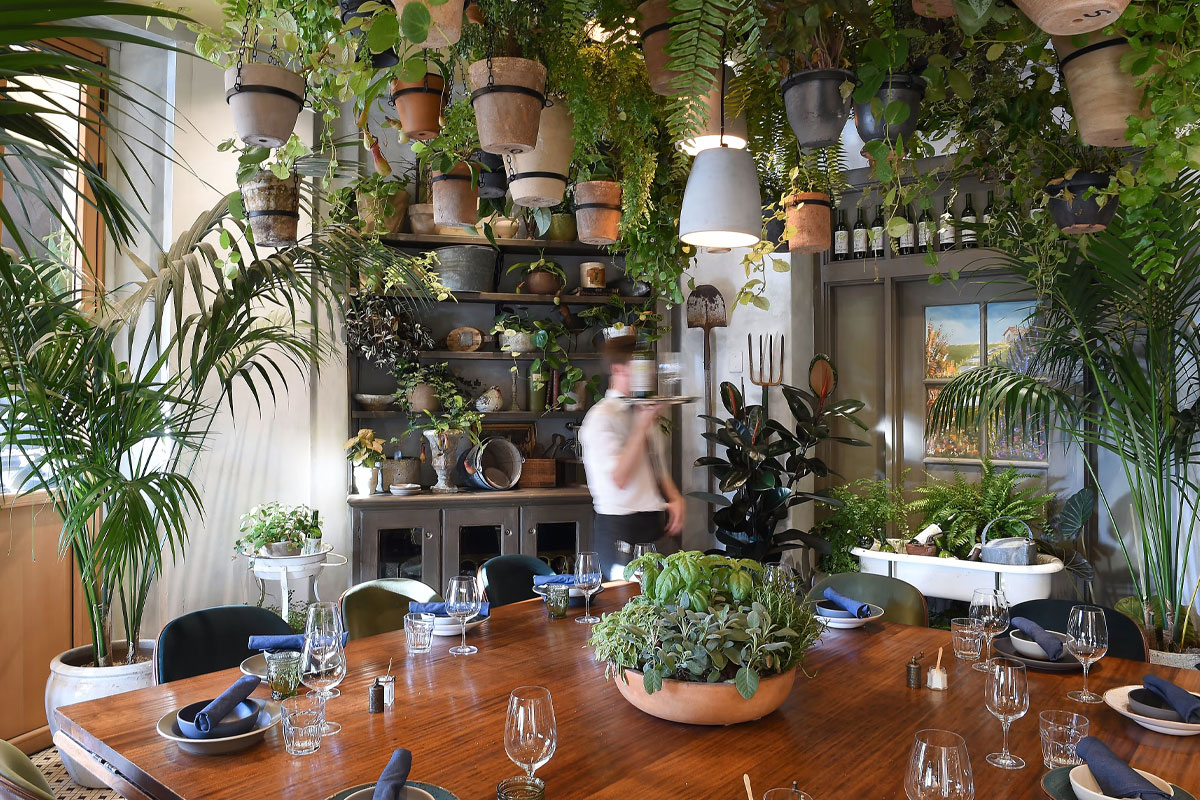Lunch at The Potting Shed at FIG
